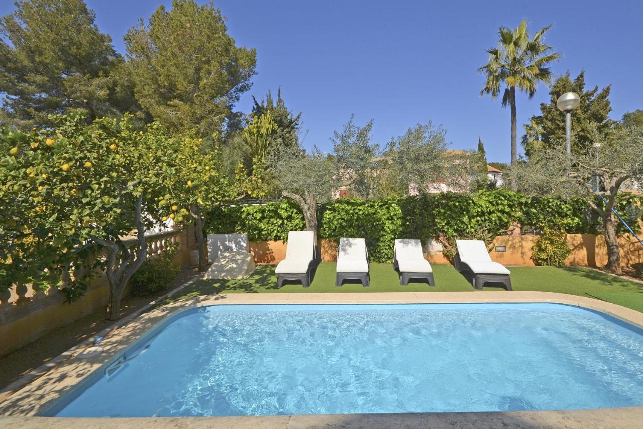 Llimona * Alcudia (Mallorca)